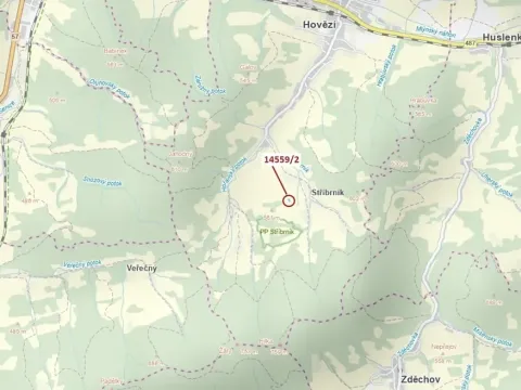 Dražba lesa, Hovězí, 605 m2