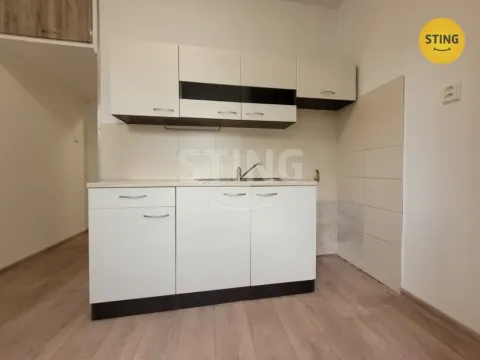 Pronájem bytu 2+1, Ostrava, Svojsíkova, 53 m2