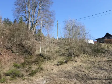 Prodej pozemku, Cetenov, 201 m2