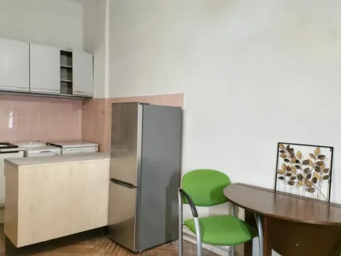 Pronájem bytu 1+kk, Praha - Nusle, Družstevní, 29 m2