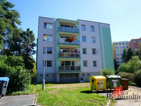 Pronájem bytu 1+kk, Plzeň - Severní Předměstí, Elišky Krásnohorské, 33 m2