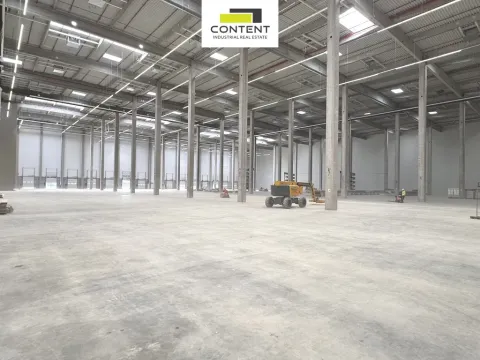 Pronájem skladu, Cheb - Hradiště, Průmyslový park, 13389 m2