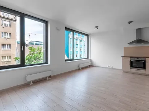 Pronájem bytu 1+kk, Praha - Karlín, Sokolovská, 38 m2