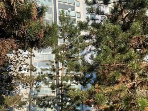 Prodej bytu 3+1, Praha - Háje, Matúškova, 77 m2