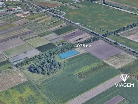 Prodej pole, Podivín, 4035 m2