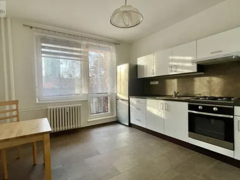 Pronájem bytu 1+1, Ostrava, Lechowiczova, 45 m2