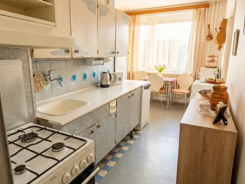 Prodej bytu 1+1, Olomouc - Nová Ulice, Pionýrská, 45 m2