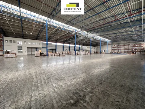 Pronájem skladu, Kněževes, Nad Kovárnou, 4264 m2