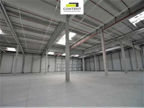 Pronájem skladu, Plzeň - Skvrňany, Obchodní, 4744 m2