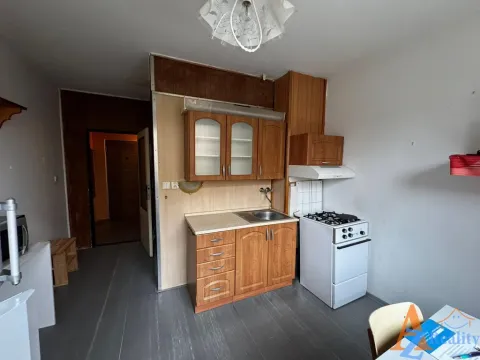 Pronájem bytu 1+1, Chomutov, Dřínovská, 42 m2