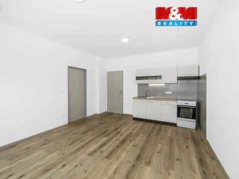 Pronájem bytu 2+kk, Radnice, Na Potocích, 49 m2