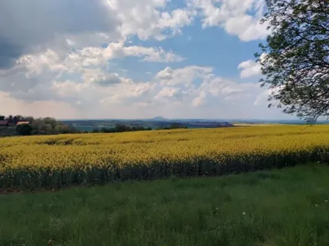 Prodej pole, Štětí, 6006 m2