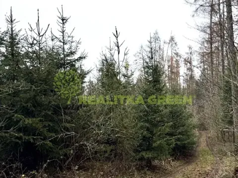 Prodej lesa, Konice, 3343 m2