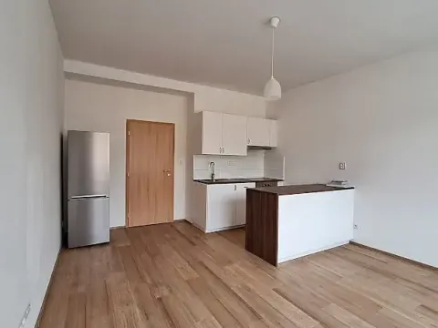 Pronájem bytu 3+kk, Praha - Břevnov, Bělohorská, 75 m2