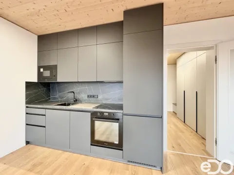 Pronájem bytu 1+kk, Praha, Ujgurská, 41 m2