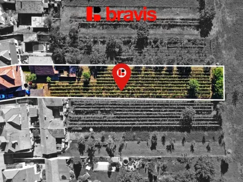 Prodej rodinného domu, Bořetice, 160 m2