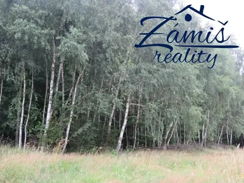 Prodej lesa, Pohledy, 7200 m2