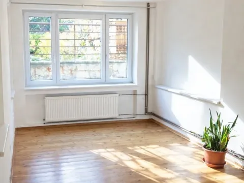 Pronájem bytu 1+1, Brno - Žabovřesky, 45 m2