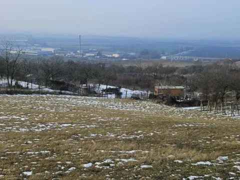 Prodej zahrady, Mikulov, Nová, 2627 m2