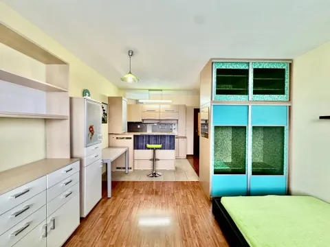 Pronájem bytu 1+kk, Brno, Bednaříkova, 31 m2