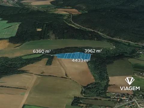 Prodej podílu lesa, Chlum, 1915 m2