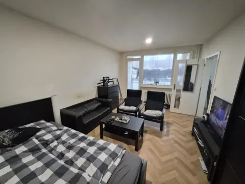 Prodej bytu 1+1, Litoměřice - Předměstí, Odboje, 46 m2