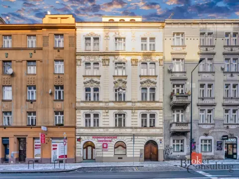 Prodej bytu 2+kk, Praha - Žižkov, Hartigova, 60 m2