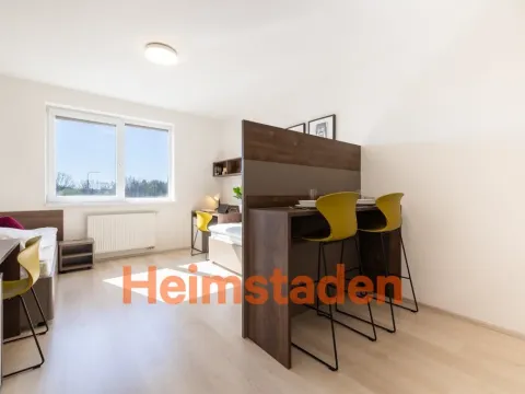 Pronájem bytu 1+kk, Plzeň - Jižní Předměstí, Magisterská, 28 m2