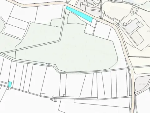 Dražba louky, Blatná, 11080 m2