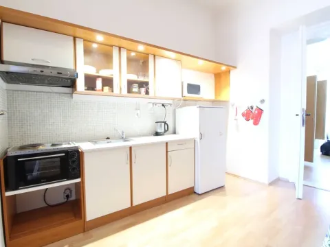 Pronájem bytu 2+kk, Praha - Karlín, Vítkova, 72 m2