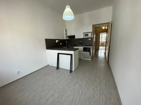 Pronájem bytu 1+1, Plzeň, Alešova, 50 m2