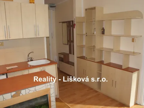 Pronájem bytu 1+1, Ústí nad Labem - Střekov, Tolstého, 36 m2