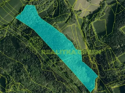 Prodej lesa, Všemina, 68618 m2