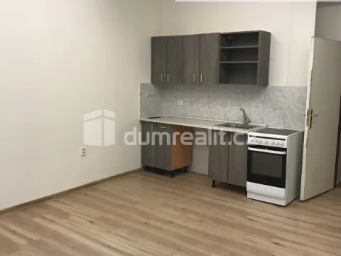 Pronájem bytu 1+kk, Praha - Karlín, Šaldova, 25 m2
