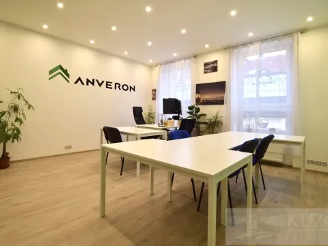 Pronájem kanceláře, Plzeň, Jagellonská, 26 m2