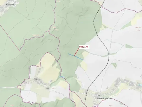 Dražba lesa, Nová Hradečná, 6275 m2