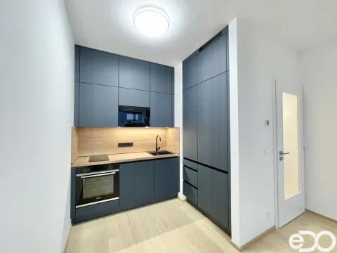 Pronájem bytu 2+kk, Praha, Hasilova, 41 m2