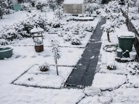 Prodej zahrady, Jirkov, 356 m2