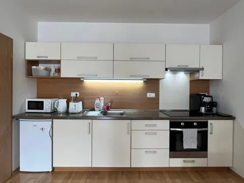 Pronájem bytu 2+kk, Brno, Sochorova, 60 m2