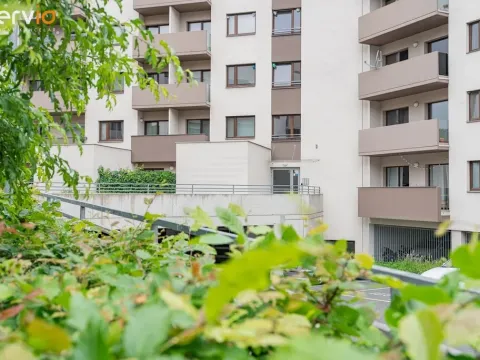 Prodej bytu 3+kk, Brno, Kigginsova, 176 m2