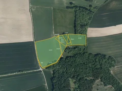 Prodej pole, Očelice, 15398 m2