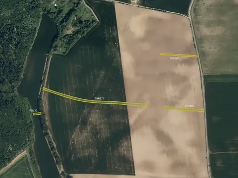 Prodej pole, Kyjov, 11651 m2