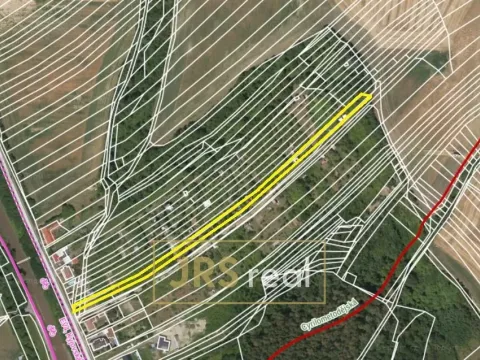 Prodej pole, Kyjov - Bohuslavice, 2617 m2