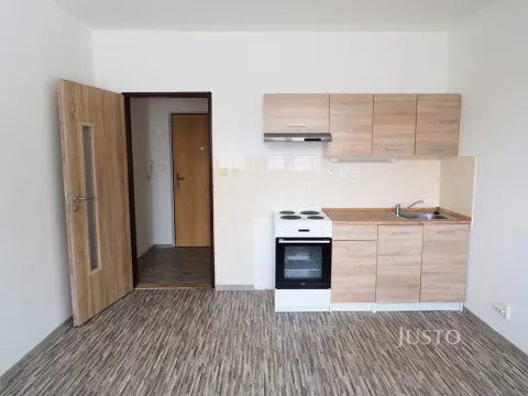 Pronájem bytu 1+kk, Písek - Budějovické Předměstí, Dr. M. Horákové, 20 m2