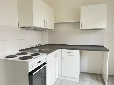 Pronájem bytu 1+1, Litvínov, Podkrušnohorská, 31 m2