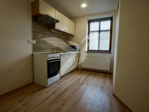 Pronájem bytu 1+1, Město Touškov, Čemínská, 38 m2
