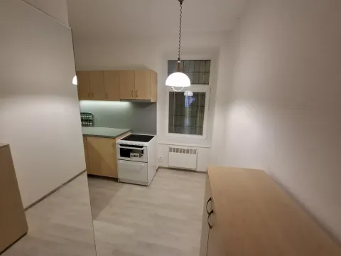Pronájem bytu 1+1, Brno - Husovice, Svitavská, 31 m2