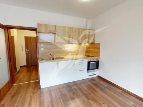 Pronájem bytu 1+kk, Beroun, U Archivu, 32 m2