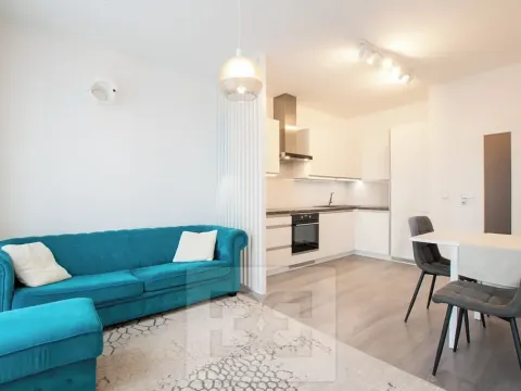 Pronájem bytu 1+kk, Beroun, Na Veselou, 44 m2