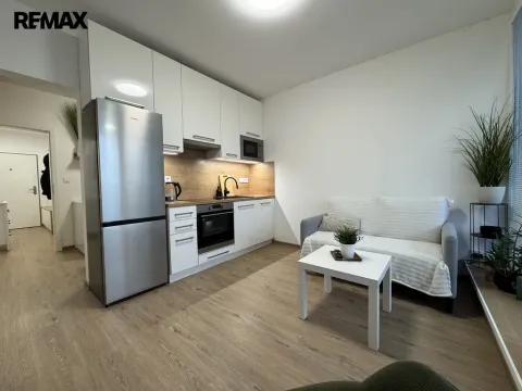 Pronájem bytu 1+kk, Olomouc, Camilla Sitteho, 31 m2